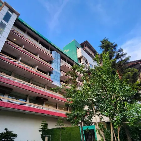 Hotel Royal Ark - Kasauli-2