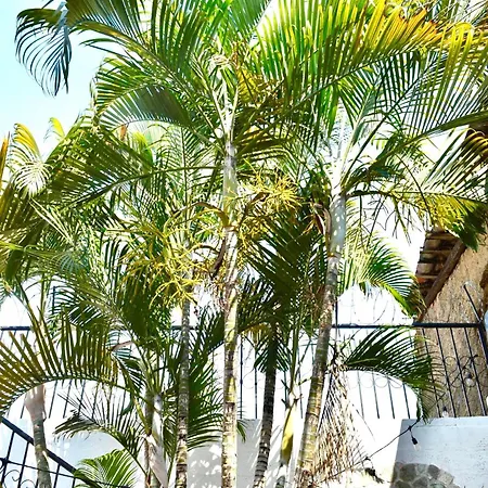 Casa Coco Hostel-2
