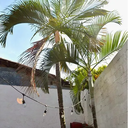 Casa Coco Hostel-3