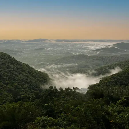 Mount Stratus Resort Vayalada-2