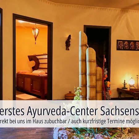 Hotel Am Kurhaus Mit Erstem Ayurveda Center Sachsens - Direkt Am Gesundheitsbad Actinon & Kurpark-2