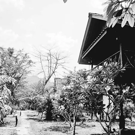 Bamboo House-3