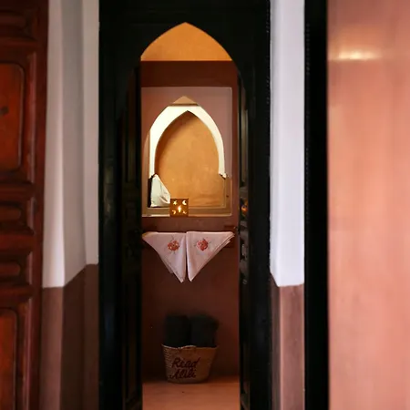 Riad Alili-3