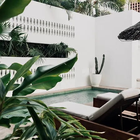 Residencia Tropical Don Bonito-3
