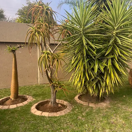 Sun Kissed Guesthouse-2