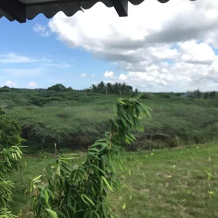 Bundala Swan Cottages-3