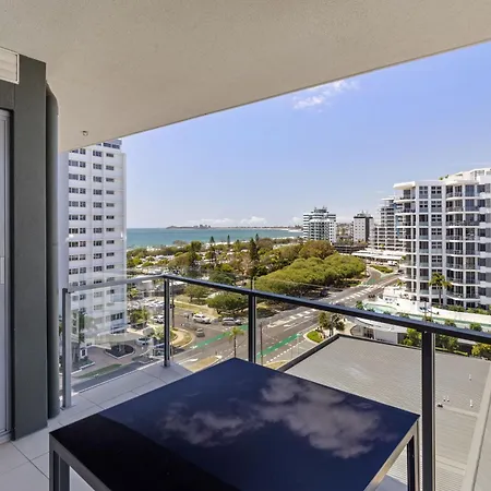 Verve On Cotton Tree-3