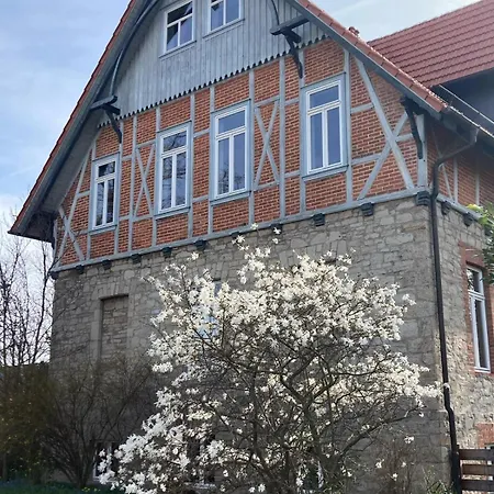 Stadt-gut-Hotel Hoffmanns Gästehaus-2