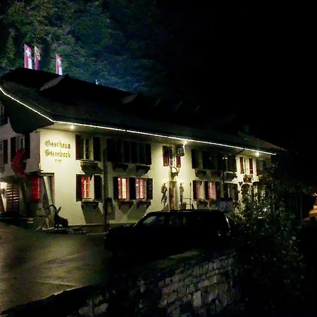 Historic Hotel Steinbock-3