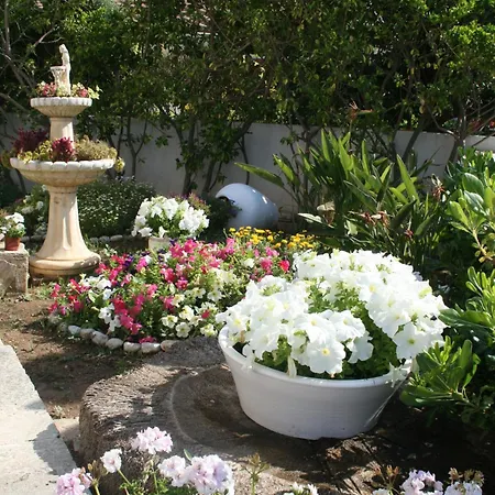 Panorama-2