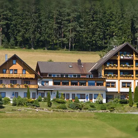 Waldhotel Auerhahn-3