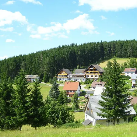 Waldhotel Auerhahn-2