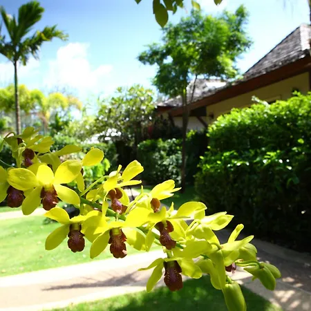 Pai Tan Villas - Sha Extra Plus-3