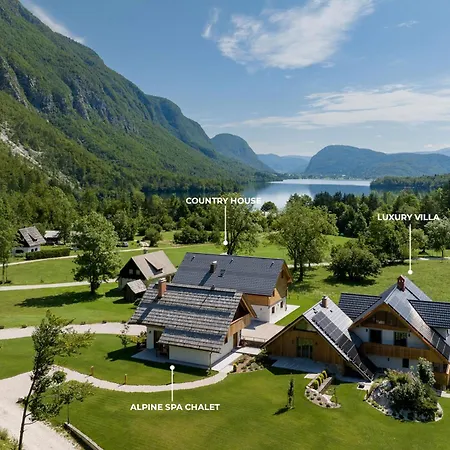 Privillage Stare - B&B-3