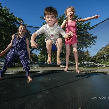 Hastings Top 10 Holiday Park-2