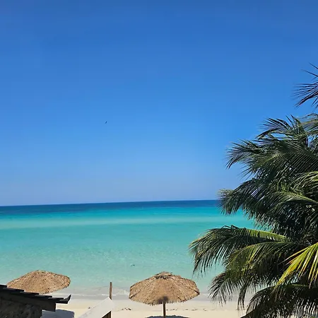 Roots Cafe Negril Rooms-3