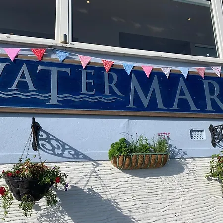 The Watermark-3