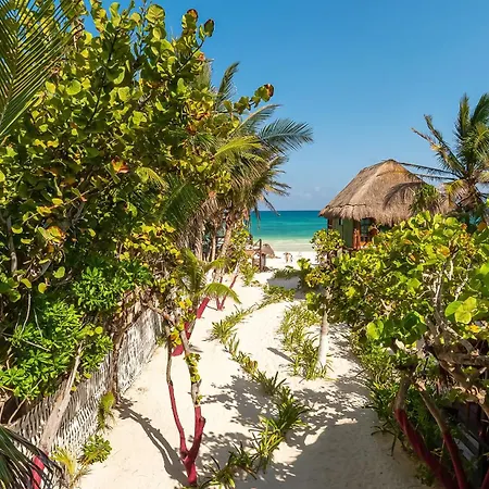 Chancabanita Tulum-2