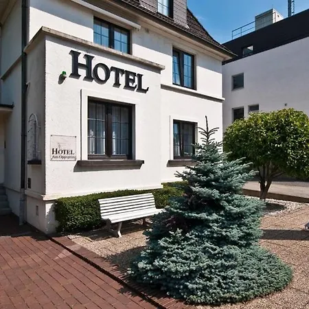 Hotel Am Oppspring-3