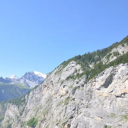 Hotel Edelweiss Superior-3