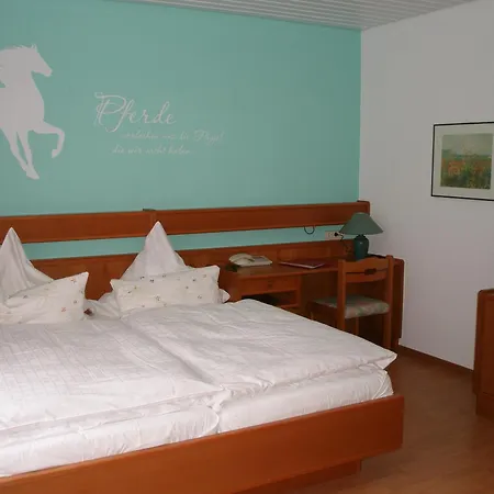 Landhotel Am Wenzelbach-3