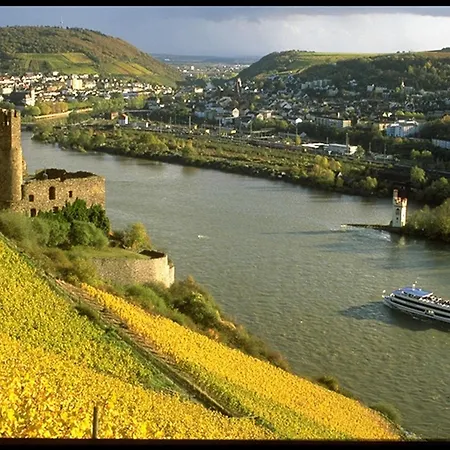 Rheinhotel Lamm-3