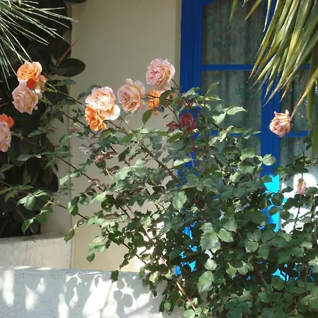 Creta Sun Hotel Studios-2