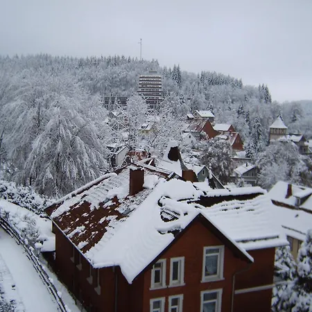 Hotel-Pension Waldhaus-3