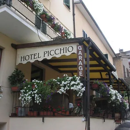 Hotel Picchio-2