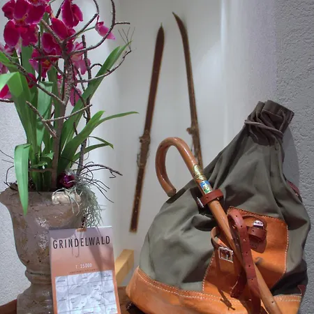 Hotel Caprice - Grindelwald-3
