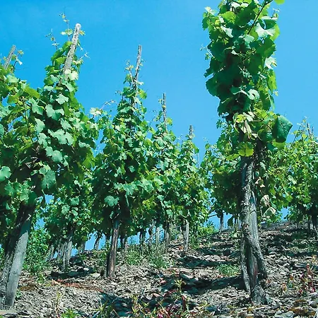 Weinhotel Hubertus Garni-3