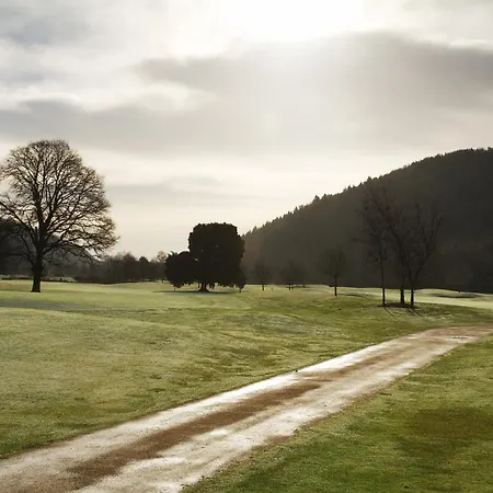 Woodenbridge Hotel-3