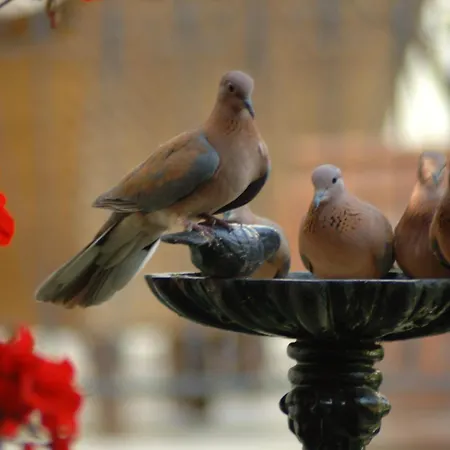 Tuvana Hotel-2