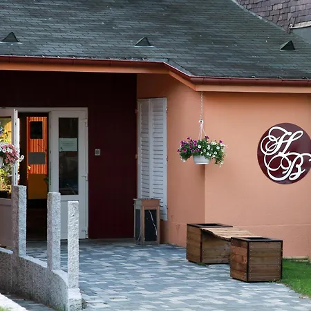 Logis Hotel Des Bains-2