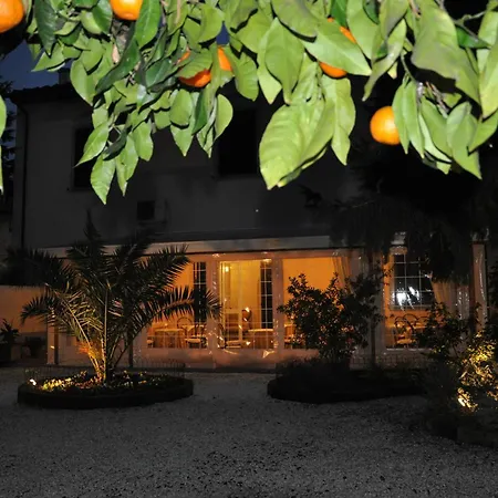 Il Mattino Ha L'Oro In Bocca-3