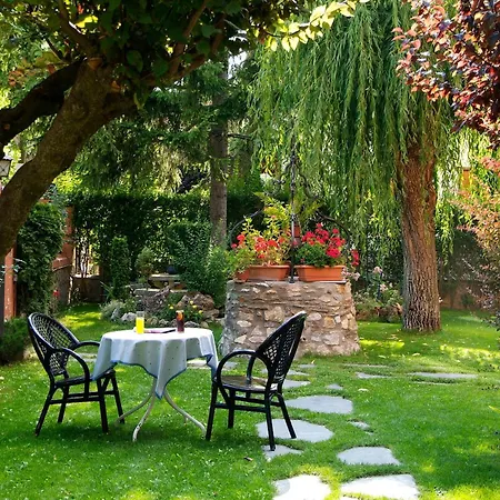 Aero Hotel Cerdanya Ca L'Eudald-3