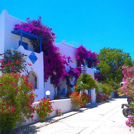 Pelagos Studios-2