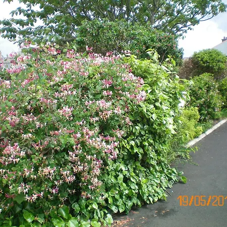 Aaranmore Lodge Guest House-3