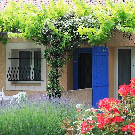 Appart'Hotel Festival Sud Suites - Avignon TGV-3