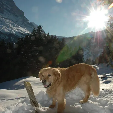 Alpenhof-2