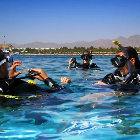 Oonas Dive Club-3