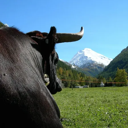 Hotel Adler-3