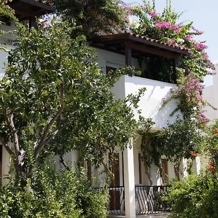 Summer Garden Suites Beach Hotel-2