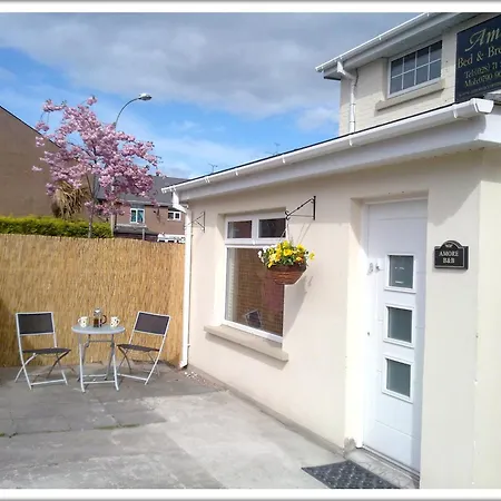 Amore Bed & Breakfast-2
