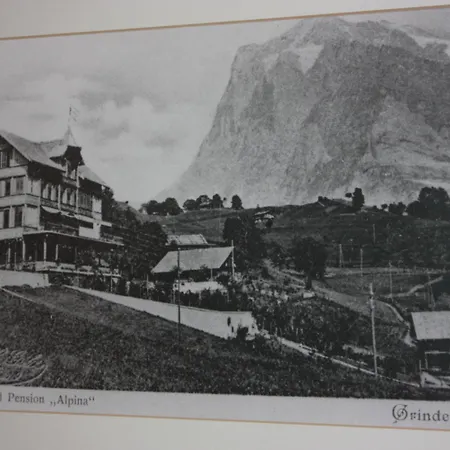 Hotel Restaurant Alpina-2