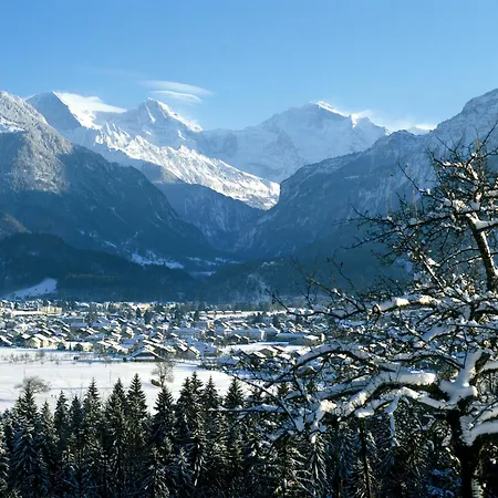 Jungfrau Hotel-2