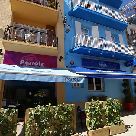 Parrots Sitges Hotel-3