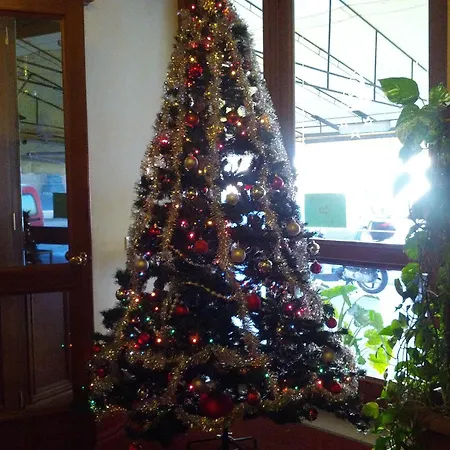Hotel Villa Kinzica-2