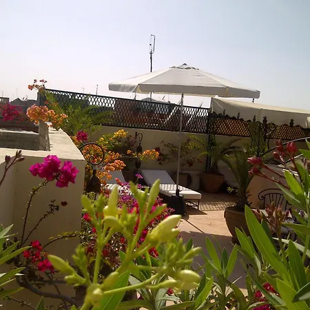 Riad Scarlett-2