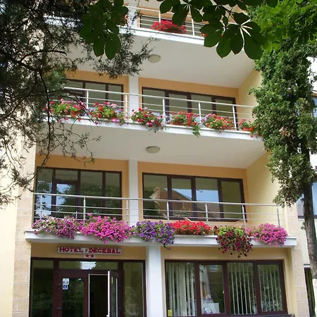 Hotel Decebal-2